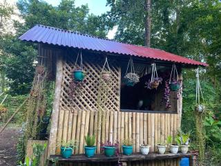 Loh jinawi Guest House Bunaken - 8