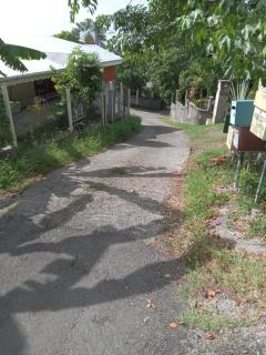 La Plus Grande Source D'eaux Chaudes " Guadeloupe " - 4