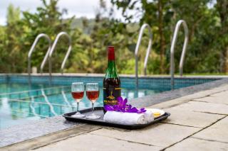 Mahogany by Exuberance Stays - 4