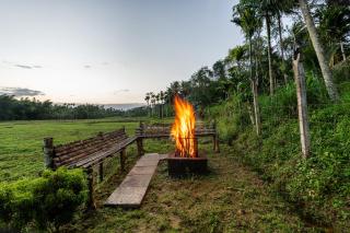 Mahogany by Exuberance Stays - 2