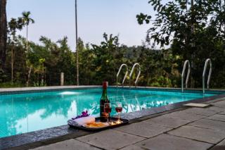 Mahogany by Exuberance Stays - 1