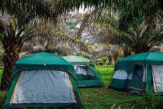 Bugoma Palms Resort Sand Beach - 6