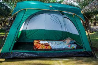 Bugoma Palms Resort Sand Beach - 5