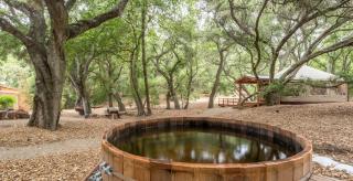Elegant Yurt Tucked Beneath Oak Trees on Southern California Ranch - 9
