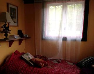 Delightful Guest House Cabin in the Adirondacks - 6