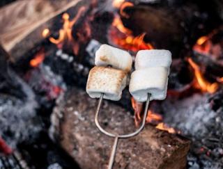 Delightful Guest House Cabin in the Adirondacks - 4