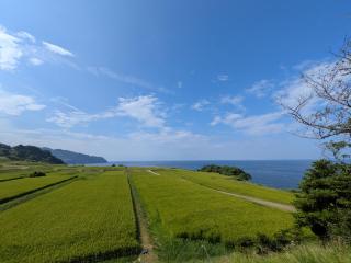 Morifuneya Ine - 森舟屋 伊根 - - 6