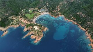 Grand T2 duplex, terrasse et jardin - 7