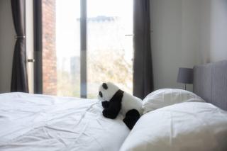 Park View 3 Bed Ensuite Apartment only 5 min walk to Arndale - 8