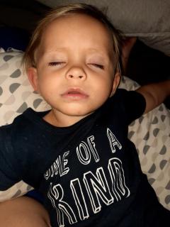 Biki Bosveld Akkomodasie en Venue - 6