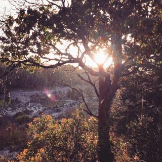 Unique Vacation Rental on 30-Acre Ranch near Pedernales Falls State Park, Texas - 7