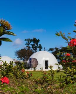 Bubble Glamping King bed, we have a 8 units like this - 9
