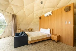 Bubble Glamping King bed, we have a 8 units like this - 4