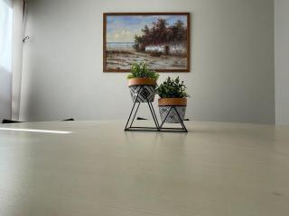 Sua Chave para o Sucesso - MC31 - Maringá - 4