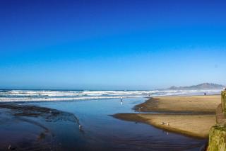 NYE Beach Haven Studio - 4