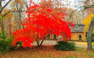 Peaceful Getaway above a Beautiful Yoga Studio near Devil's Den Nature Preserve, Connecticut - 3