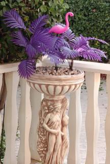 Villa Flamingo close Nissi beach - 0