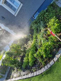 Wczasy nad Odrą - 6