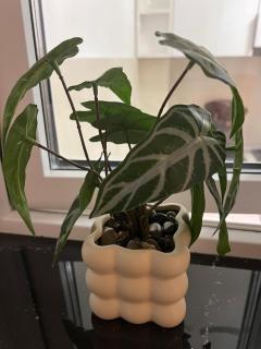 Apartment with a balcony and a beautiful view - 8