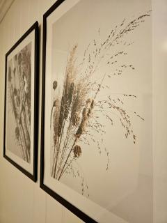 Fin 3-roms leilighet i Harstad sentrum - 4