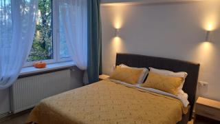 Apartament Kitty Centrul Istoric Craiova - 9