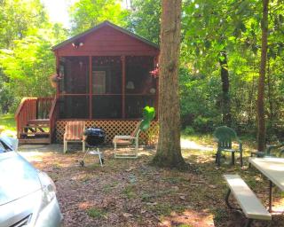 Cozy Cabin Rental on the Santa Fe River near High Springs, Florida - 6