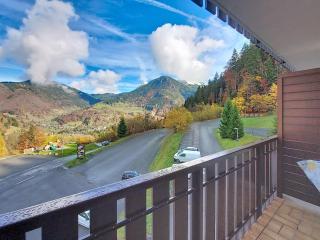 STUDIO AVEC VUE MONTAGNE -SAINT JEAN D'AULPS STATION - 4 Personnes- PIED DES PISTES 20 - 3