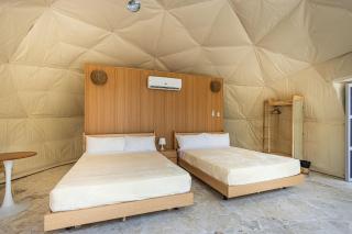 Bubble Glamping 2 King beds, we have a 12 units like this - 5