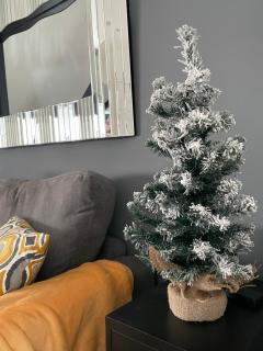 Foundry Street Apartment 3 - Dunfermline City Centre - 8