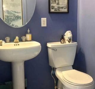 Authentic Mongolian Yurt for a Serene Healing Retreat in Saratoga Springs, New York - 6