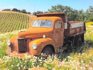 Charming Cottage Rental for a Fun-Filled Vacation in the San Francisco Bay Area, California - 2