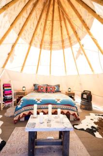 Unique Tipi Accommodation for a Glamping Experience near Las Vegas, Nevada - 9