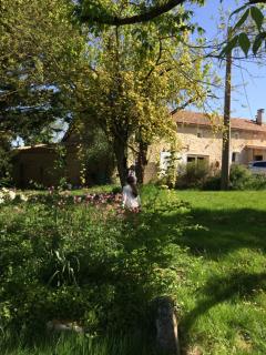 La Grande Gueronie - 0