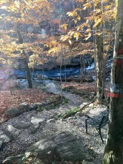 Fabulous Tiny House Surrounded by Forest in Norwich, Connecticut - 1