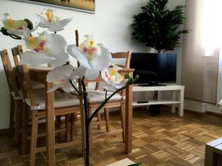 Arcaden Apartment - Ratisbona - 8