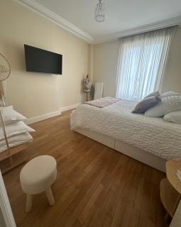 Appartement Vu Rhône - Vienne Centre - 4
