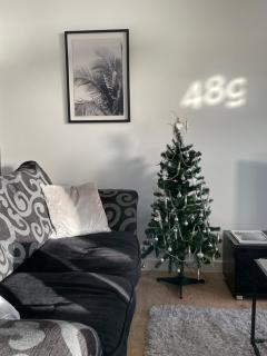 Dunoon River Clyde Flat - 8