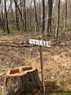 Cozy Bungalow Rental Perfect for Glamping in Michigan - 6