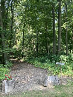 Cozy Bungalow Rental Perfect for Glamping in Michigan - 2