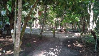 Chalé da Floresta - 4