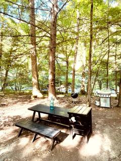 Romantic Glamping Getaway in a Pet Friendly Caravan, Ideal to Explore Hudson Valley - 7