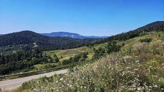 FLH - Livada Bunicilor - 4