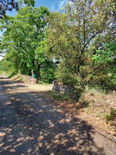 Vakantiehuisje in natuurzone van Barjac - 7