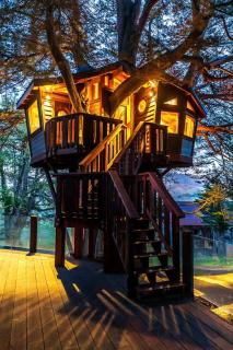 Half Moon Bay Glamping Getaway in an Idyllic Tree House and Cabin - 8