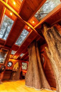 Half Moon Bay Glamping Getaway in an Idyllic Tree House and Cabin - 7