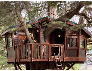 Half Moon Bay Glamping Getaway in an Idyllic Tree House and Cabin - 0