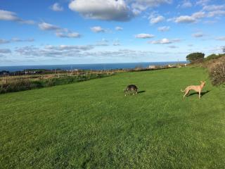 Plover Cottage at Trenale Court Cottages - 8