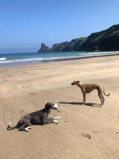Plover Cottage at Trenale Court Cottages - 1