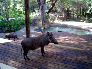 Reverie Safari Lodge, Marloth Park - 6