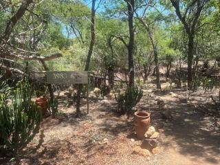 Reverie Safari Lodge, Marloth Park - 9